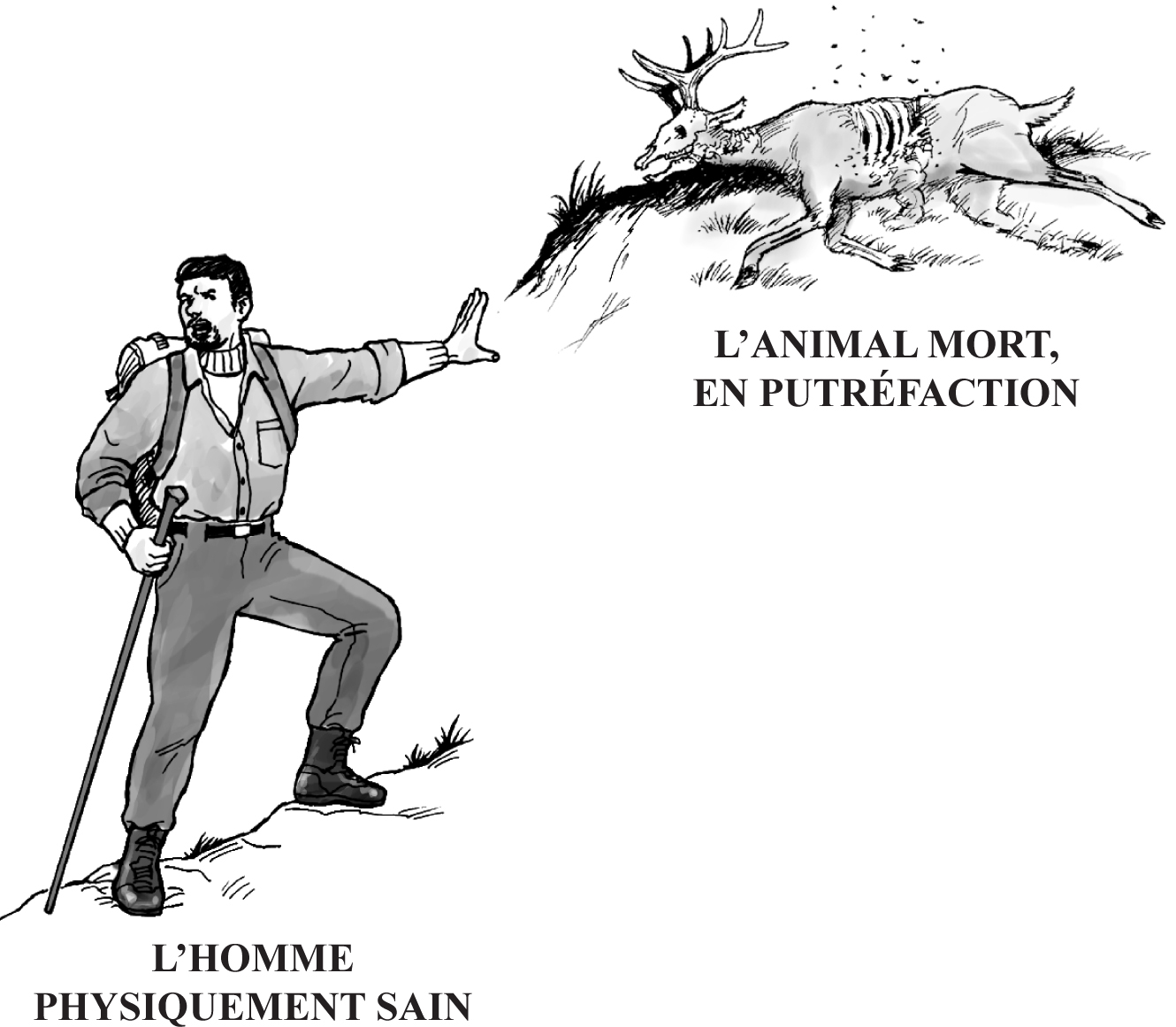 Gospel_French_p_4_Woodsman_Deer